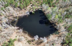 2521 SC - 268, Mount Croghan, SC 29727