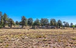 2538 Windmill Drive, Hartsel, CO 80449