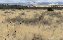 E Highway 60, Springerville, AZ 85938