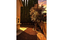 4193 Monet CIR, SAN JOSE, CA 95136
