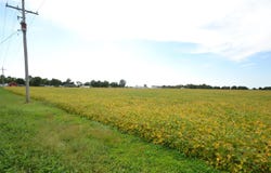 1334 N 350 E, Tipton, IN 46072