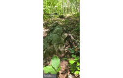 THOROUGHFARE RD lot: 1, CULPEPER, VA 22701