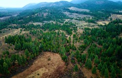 Strandskov Road, Lincoln, MT 59639