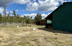 Kamloop Lane, Gilchrist, OR 97737