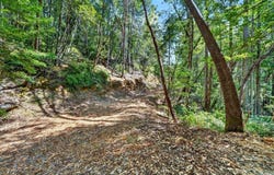 Maple Basin Road, Philo, CA 95466