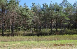 411 KLEEHAMMER CLUB DRIVE, KALKASKA, MI 49646