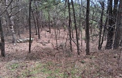 13591 SE 180TH RD, Talihina, OK 74571