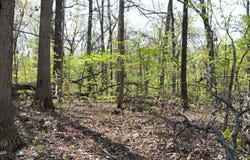 000 19 S Plainview Road, Anderson, MO 64831