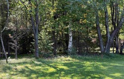 Days River 24.5 Road, Gladstone, MI 49837