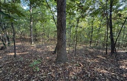 Stanfield Road, Poughkeepsie, AR 72466