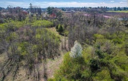 Hwy 71 N, Gillham, AR 71841
