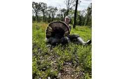 County Road 365 Loop, Urbana, MO 65767