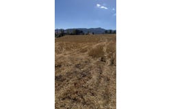 21200 Delmar Avenue, Tehachapi, CA 93561