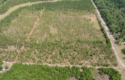 Live Oak, FL 32060