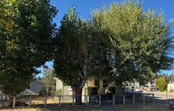 197 E Riverside Avenue, Portola, CA 96122