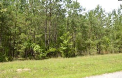 13 Colonels, Ridgeway, SC 29130