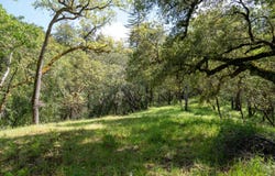 35000 Robinson Canyon RD, carmel, CA 93923