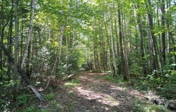 20 National Trail/Star Lake Road, Crandon, WI 54520