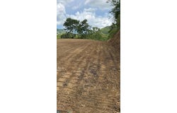 Plata, Aibonito, PR 00705
