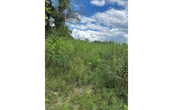 Panther Falls lot: 65, Wilder, TN 38589