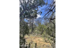 0001 Jeep Trail, Overgaard, AZ 85933