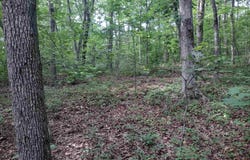 Iron Mountain RD, Mountain View, AR 72560