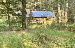2952 Highway 18, LOUIN, MS 39338