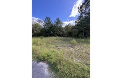 166th Pl, Wellborn, FL 32094