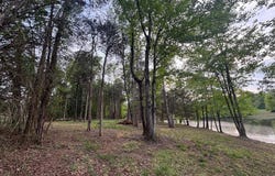 MCALEXANDER Road, ORANGE, VA 22960