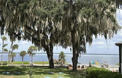 21116 NE 101ST Avenue, Earleton, FL 32694