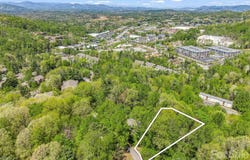 99999 Mountain Site Lane, Asheville, NC 28803