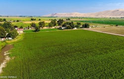 NKA Jensen Rd, Toppenish, WA 98948