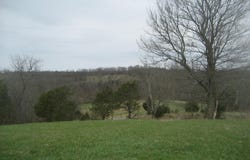 N Rays Fork Road, Sadieville, KY 40370