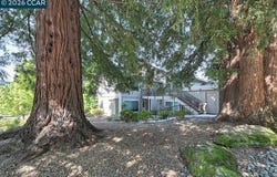 2175 Cactus Ct, Walnut Creek, CA 94595