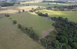 CR 435, Frankston, TX 75763