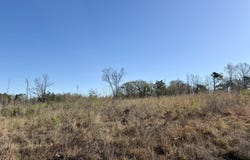 385 Vanarsdale Road, Pickens, MS 39146
