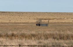 3540 40th Lane, Avondale, CO 81022