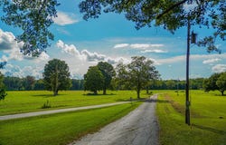 655 Lake Lanier Rd, Marion Junction, AL 36759