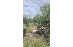 436 N SUNSET STRIP ST, Kenedy, TX 78119
