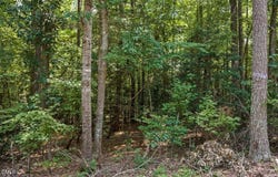 S Holiday Drive, Macon, NC 27551