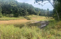 Claire Rd, Taylor, WI 54659