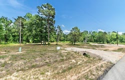 3126 Shadow Pine Drive, Larue, TX 75770