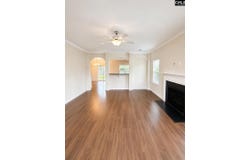 815 Burnview Lane, Chapin, SC 29036