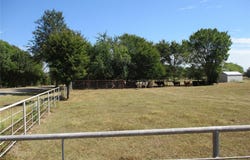 3366 E FM 2795, Alba, TX 75410