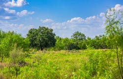 4163 E State Hwy 29, Mason, TX 76856
