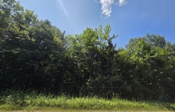 S Cottage Rd, Barbeau, MI 49710