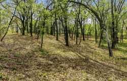 N4087 County Rd A, Cambridge, WI 53523