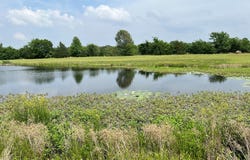 PR 5291, Yantis, TX 75497