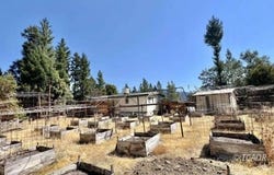 441 Pelletreau Ridge Rd, Hyampom, CA 96046