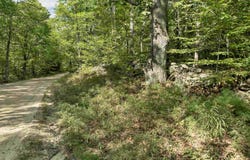 Vail Road lot: 76, Barnstead, NH 03225